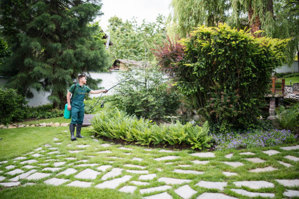 Best Ant Control Services  in Carrboro, NC